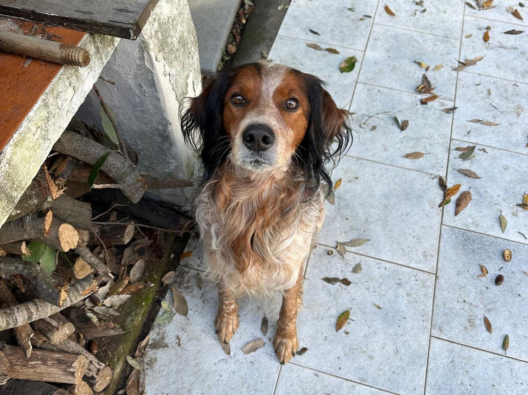 Taxi Santi Vulcano-Isola Vulcano必去景点