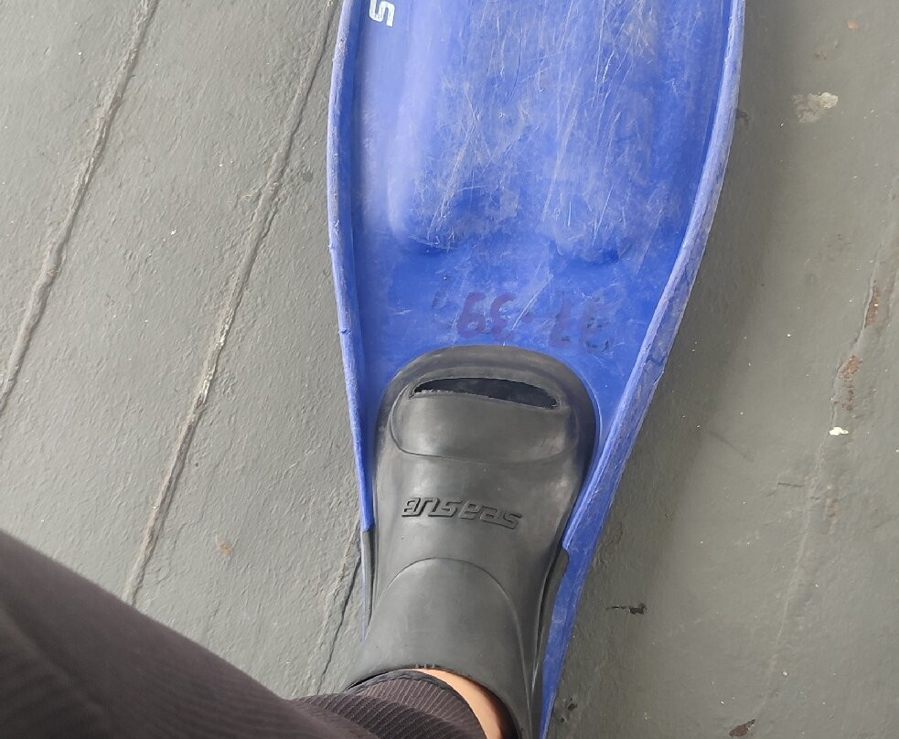 Narwhal-伊利亚贝拉必去景点