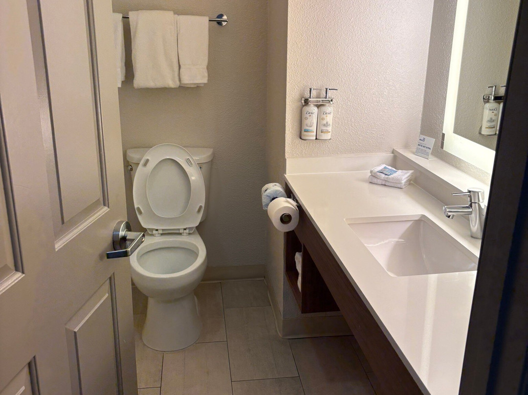 奥兰多国际机场智选假日酒店主图