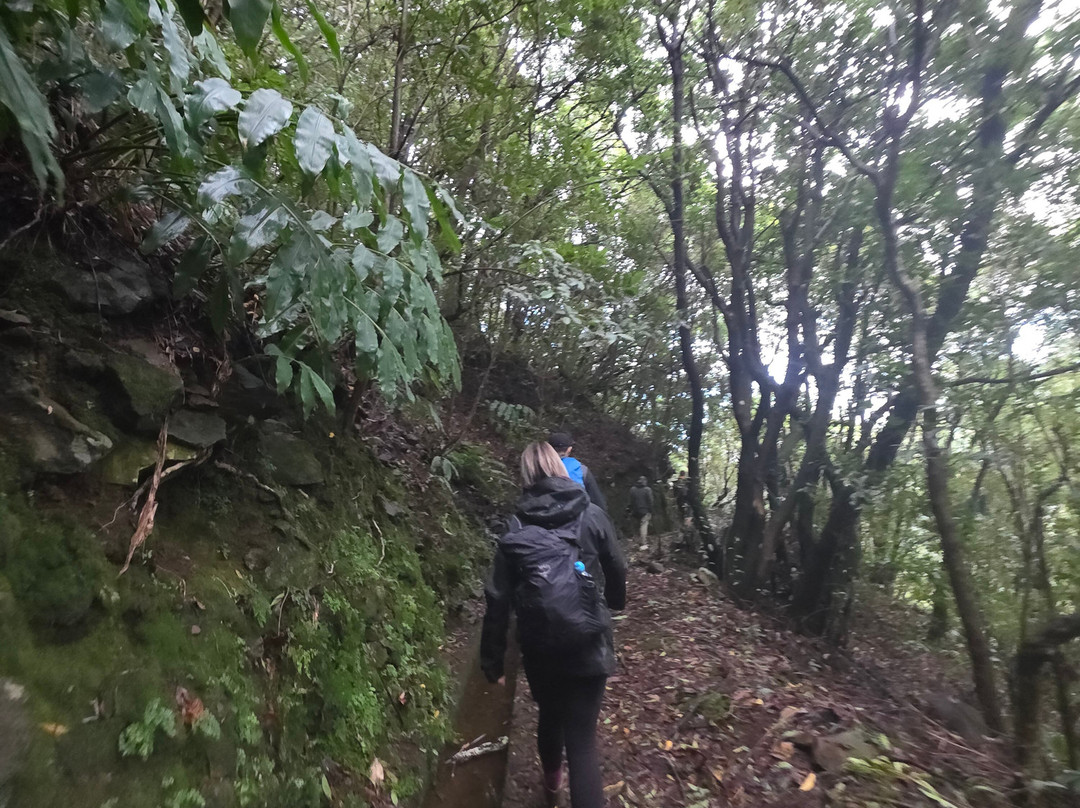 Madeira Wonder Hikes-沙尔必去景点