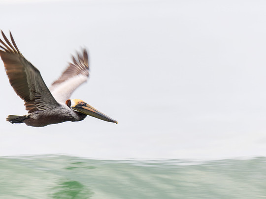 Mecana Ecohotel主图