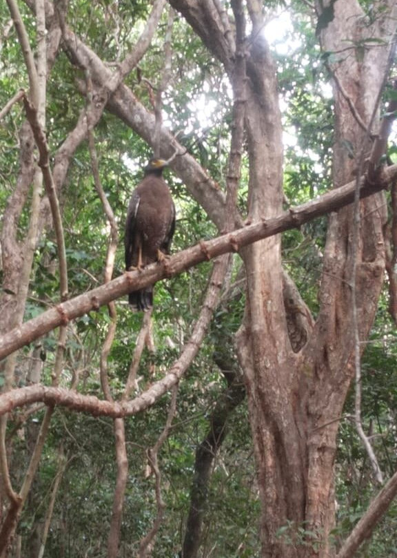 SriLankan Pearl-康提必去景点