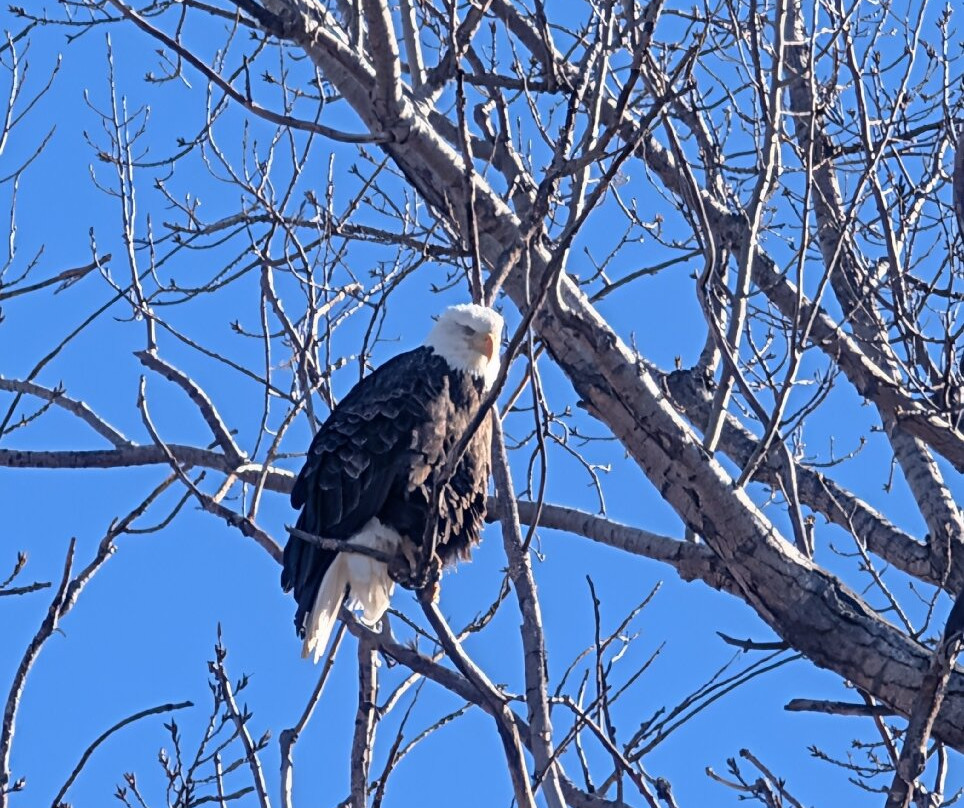 Loess Bluffs National Wildlife Refuge-Mound City必去景点