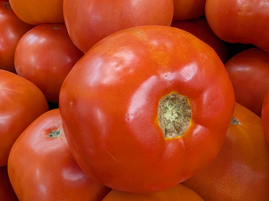 Red Barn Produce-Rutledge必去景点