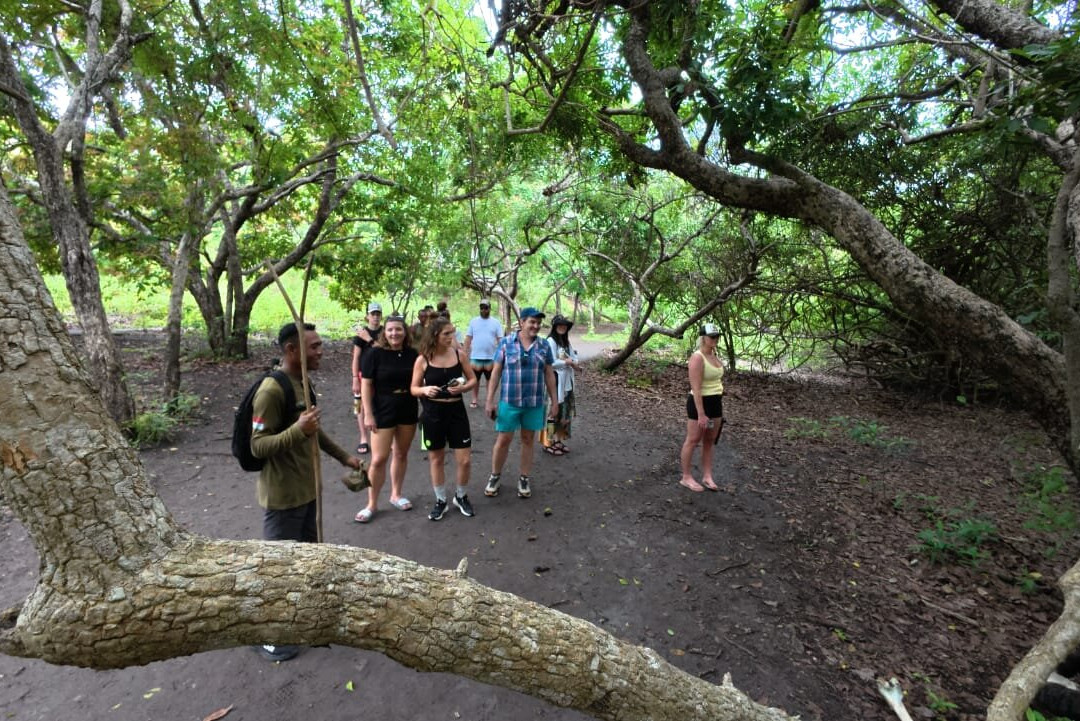 MMB Komodo Tour-科莫多必去景点