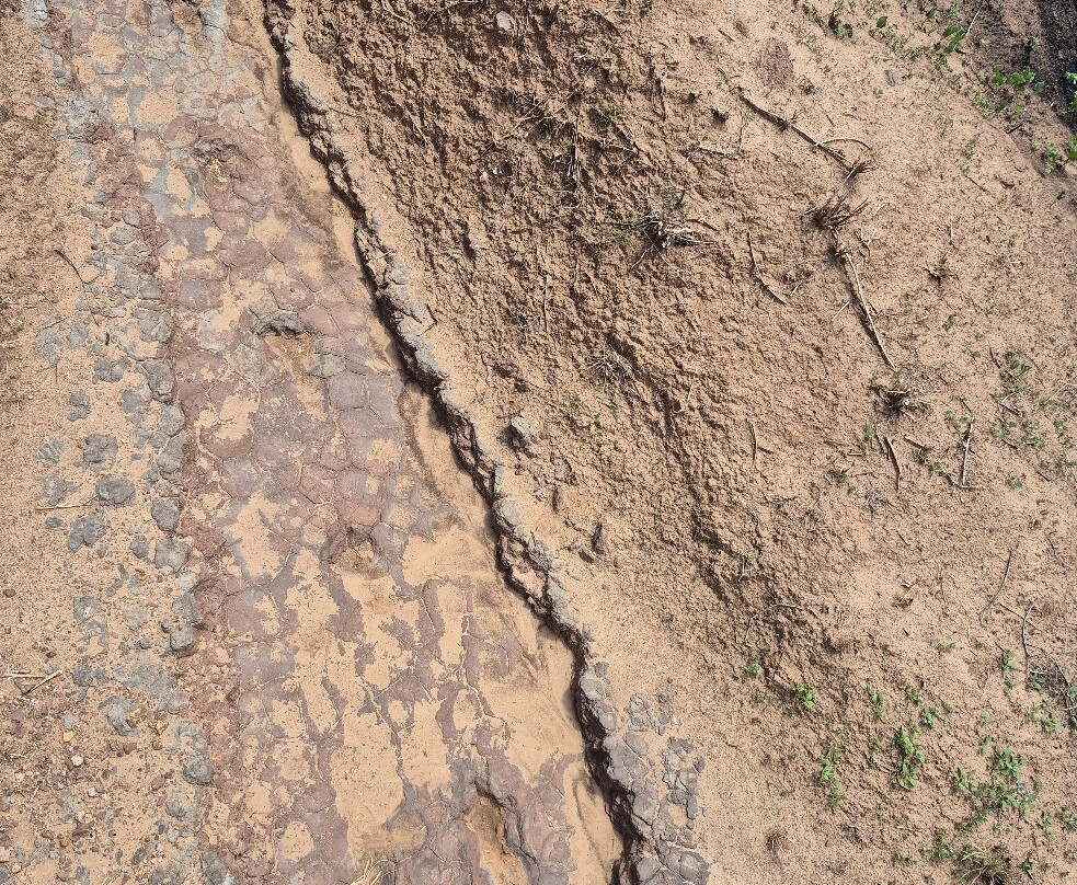 Valley of the Dinosaurs-Sousa必去景点