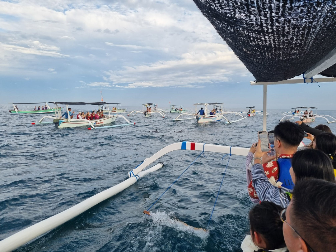 Lovina Dolphin Adventure-罗威那海滩必去景点