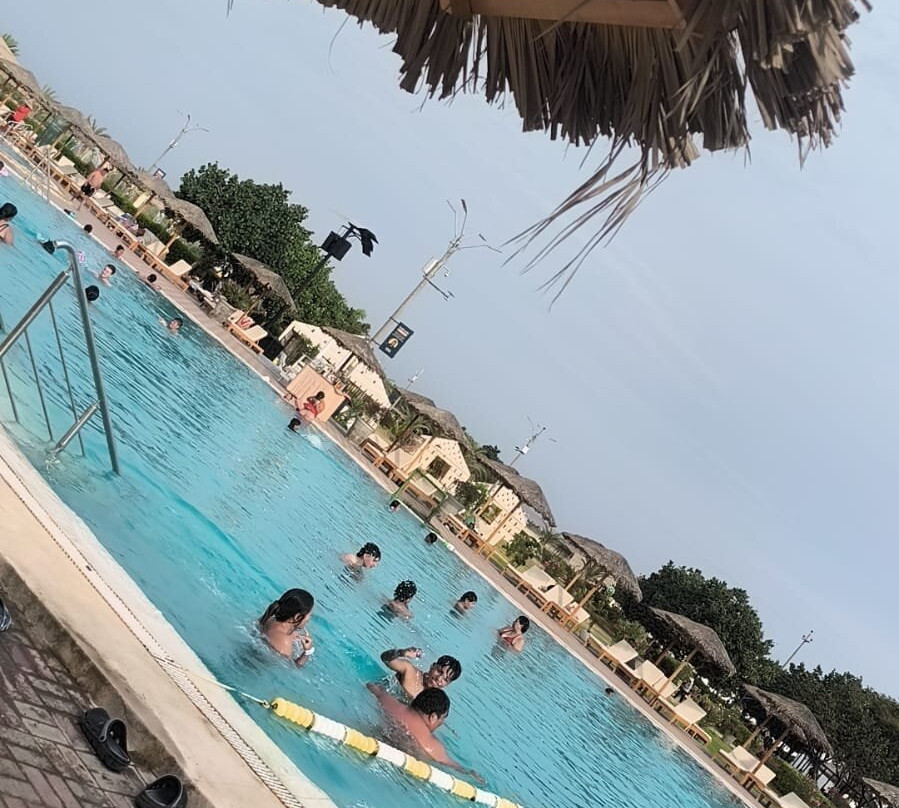 Dromedarius-伊卡必去景点