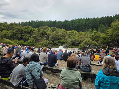 Lady Knox Geyser-罗托鲁瓦必去景点
