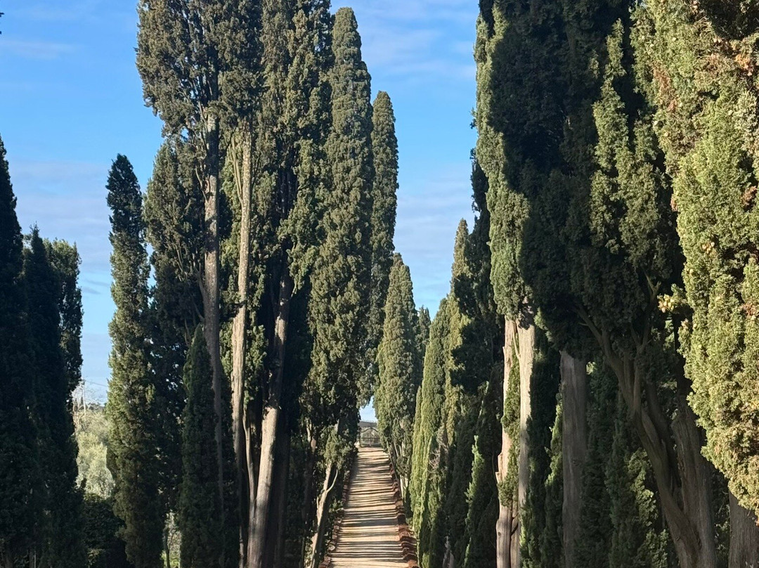 Poggio Torselli-佩萨河谷圣卡夏诺必去景点