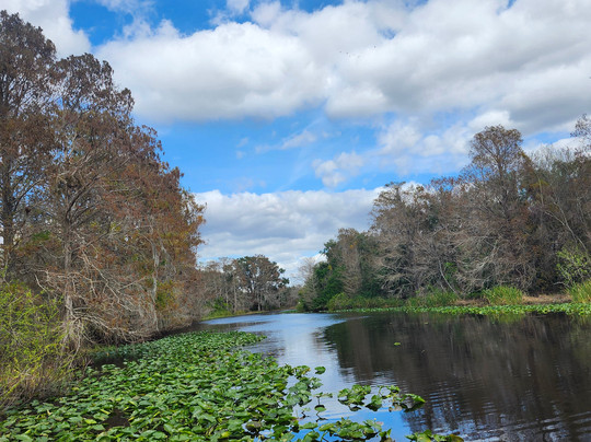 Camp Mack's River Resort Airboat Rides-莱克威尔士必去景点