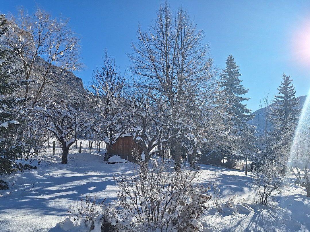 埃德维斯酒店主图