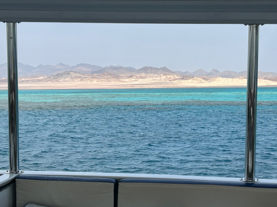 Cinderella Eldawley - Diving Center-沙姆沙伊赫必去景点