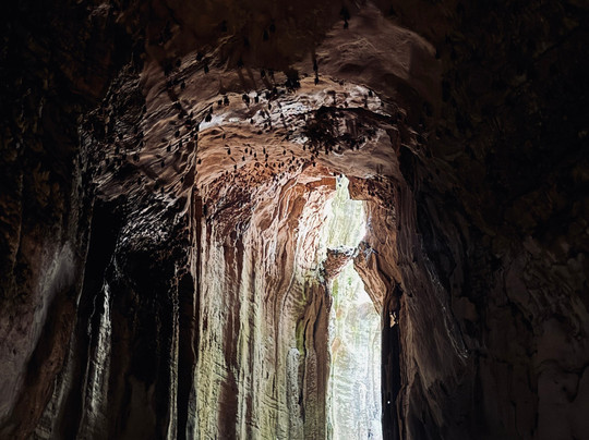 Sumatra Tour Adventures-武吉拉旺必去景点