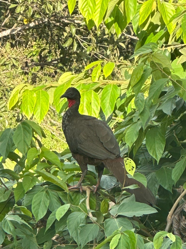 Natures Edge Boutique Hotel-官方