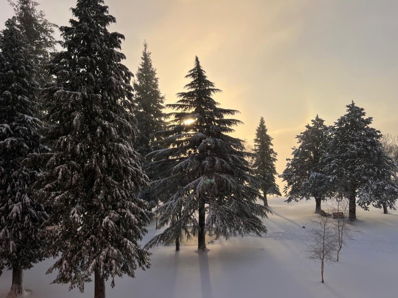 埃什特雷拉山脉旅馆-官方