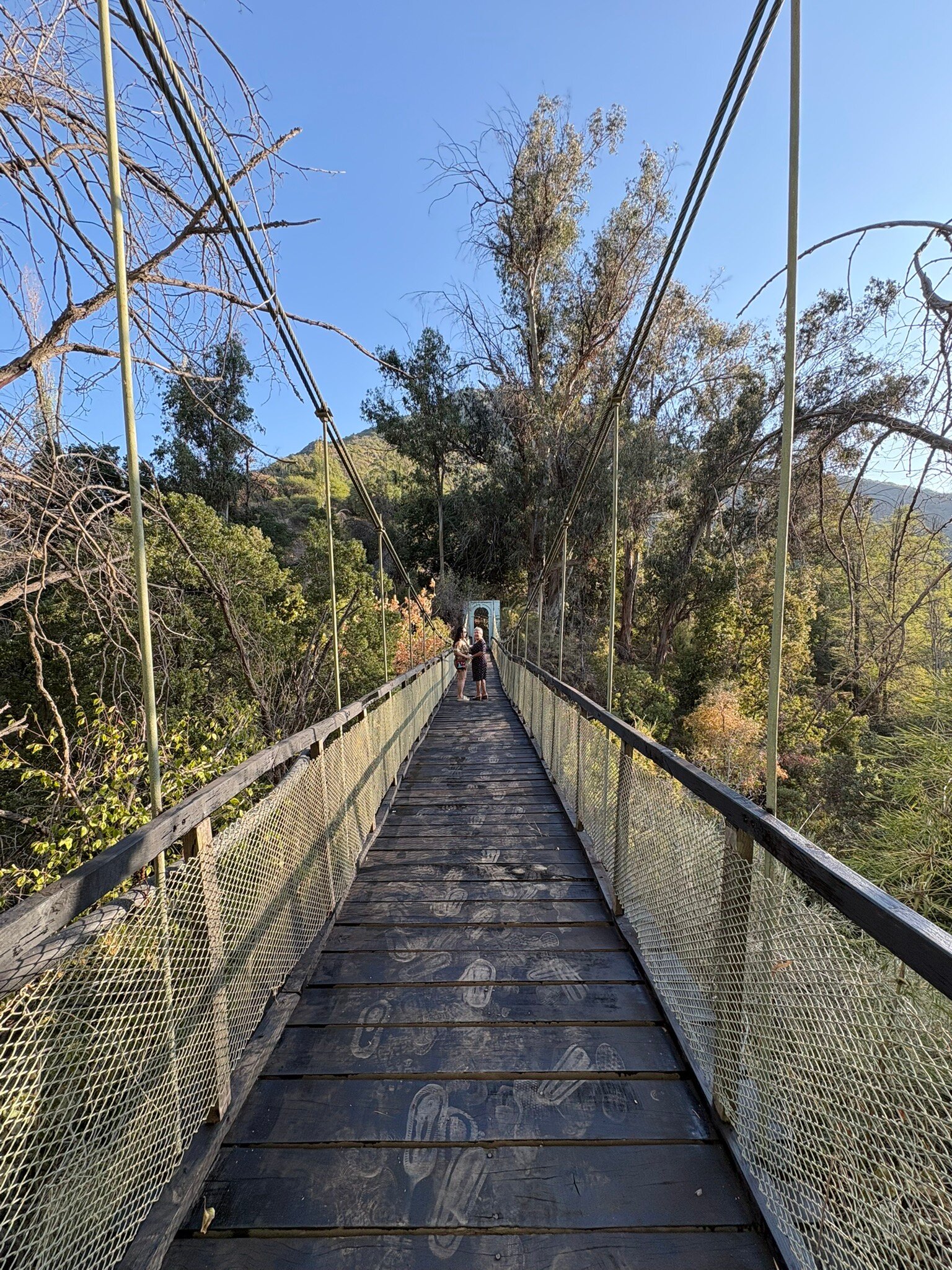 Termas de Cauquenes-官方