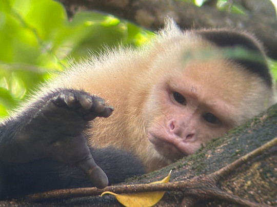 Top Travel Costa Rica-圣何塞必去景点