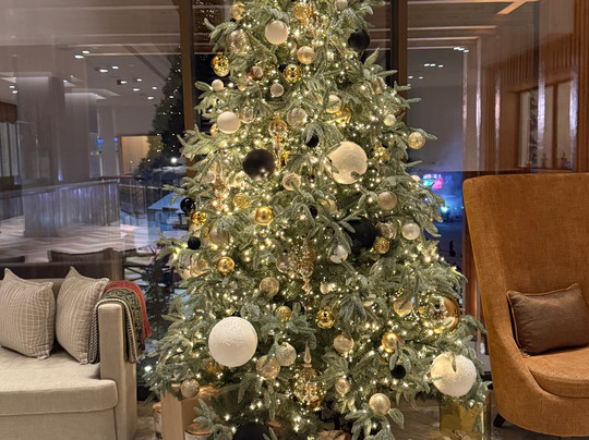 Viceroy Kopaonik Serbia主图