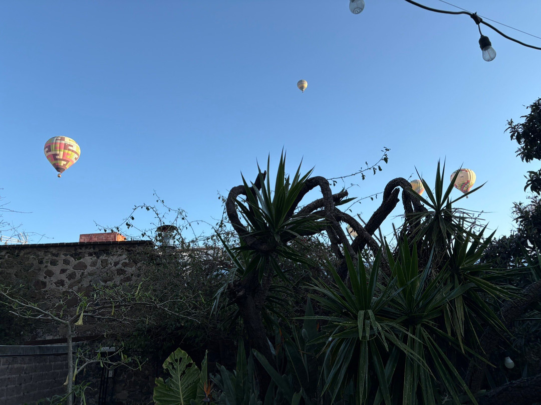 科利布里客栈主图