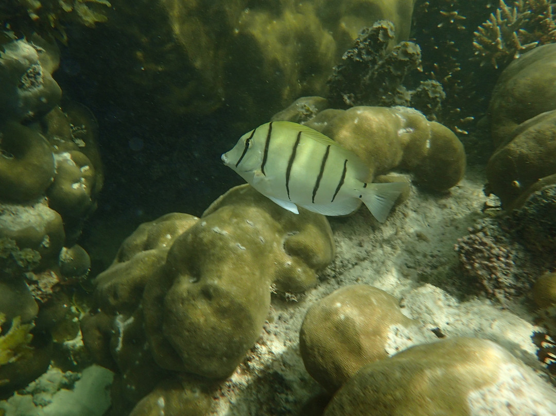 Spiaggia di Port Launay-Port Glaud必去景点