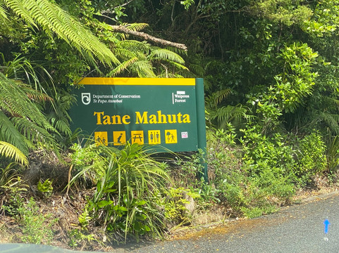 Tane Mahuta Walk-Opononi必去景点
