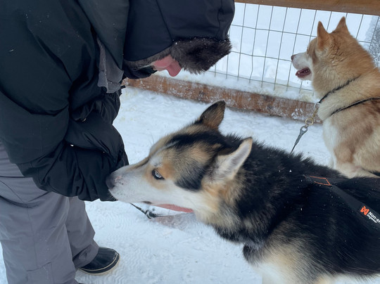 Arctic Circle Husky Park-罗瓦涅米必去景点