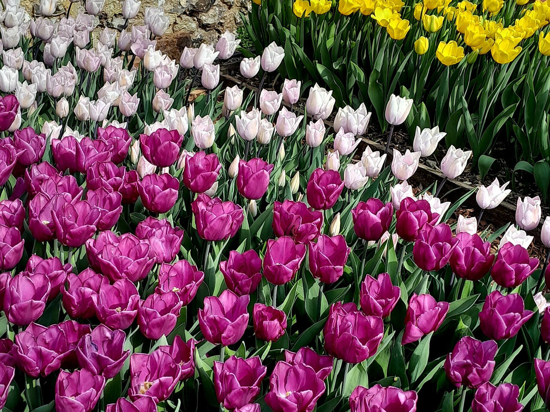 Grey's Court-泰晤士河畔亨利必去景点