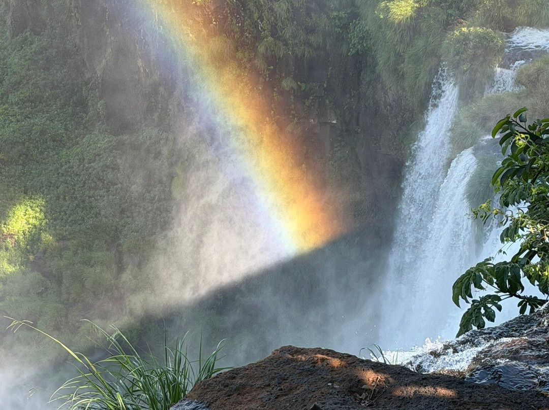 Salto San Martin-伊瓜苏国家公园必去景点