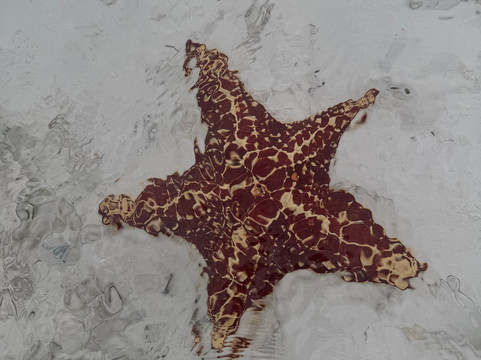 Long Island Boat Rentals-长岛必去景点