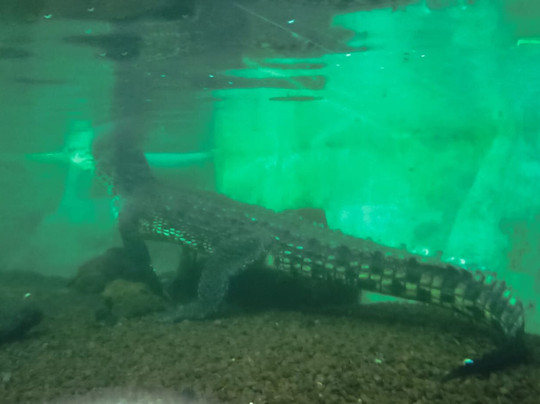 Aqua Vega Aquarium-安卡拉必去景点