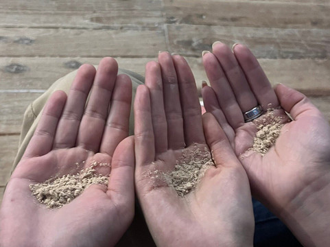 Harika-拉塔昆加必去景点