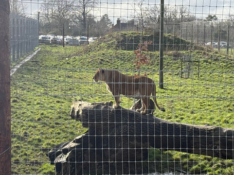 Johnsons Of Old Hurst-亨廷顿必去景点