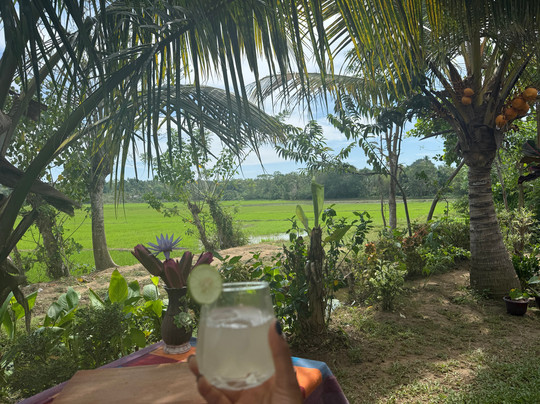 Ceylon Soul-加勒必去景点