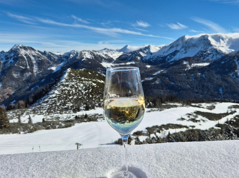 埃里卡漫游酒店主图