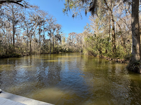 Premier Boat Tours-Mount Dora必去景点