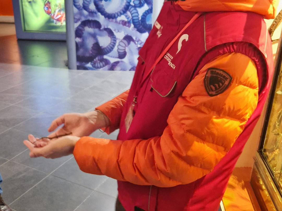 Citta Della Scienza-那不勒斯必去景点