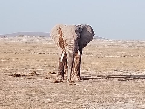 Malik Safari-马林地必去景点