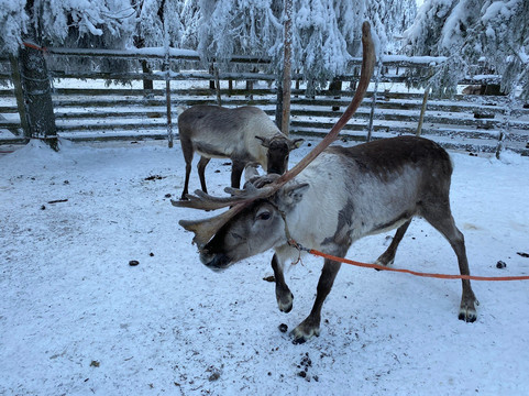Ruka Adventures-库萨莫必去景点