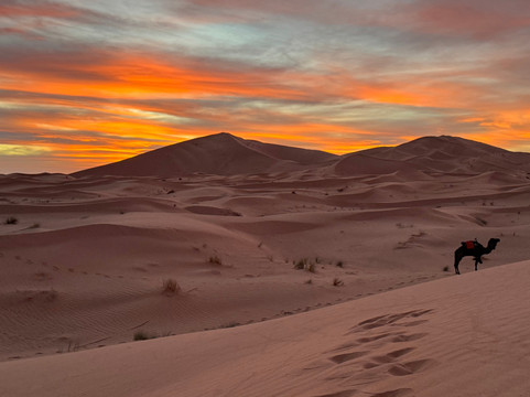 Walking With Nomads-Agdz必去景点