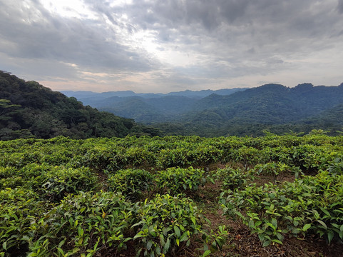 Pearl Nature Holidays-坎帕拉必去景点