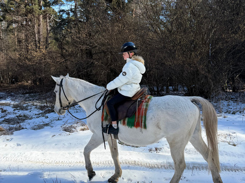 Horse Riding With Butch-波罗维兹必去景点