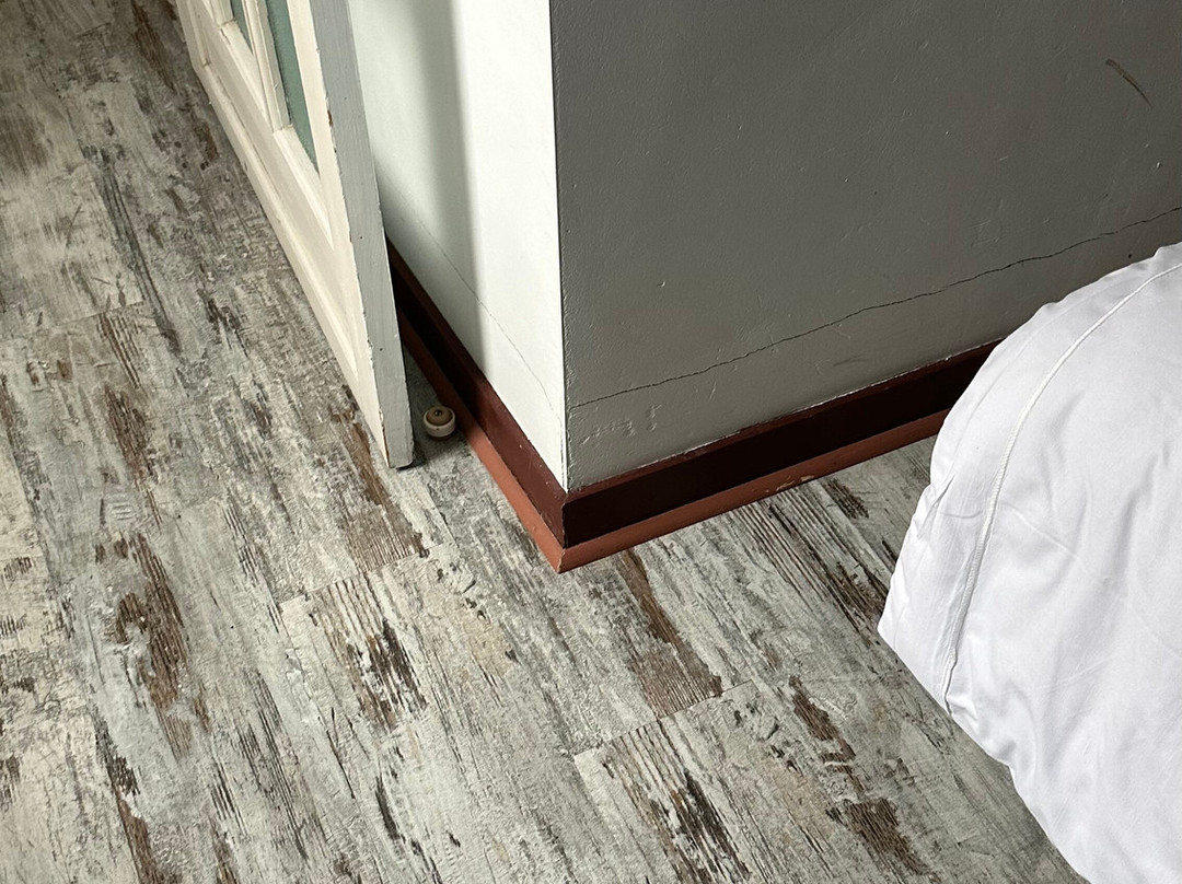 Villa Hyper Centre Le Blanc Type Hotel Entree Autonome