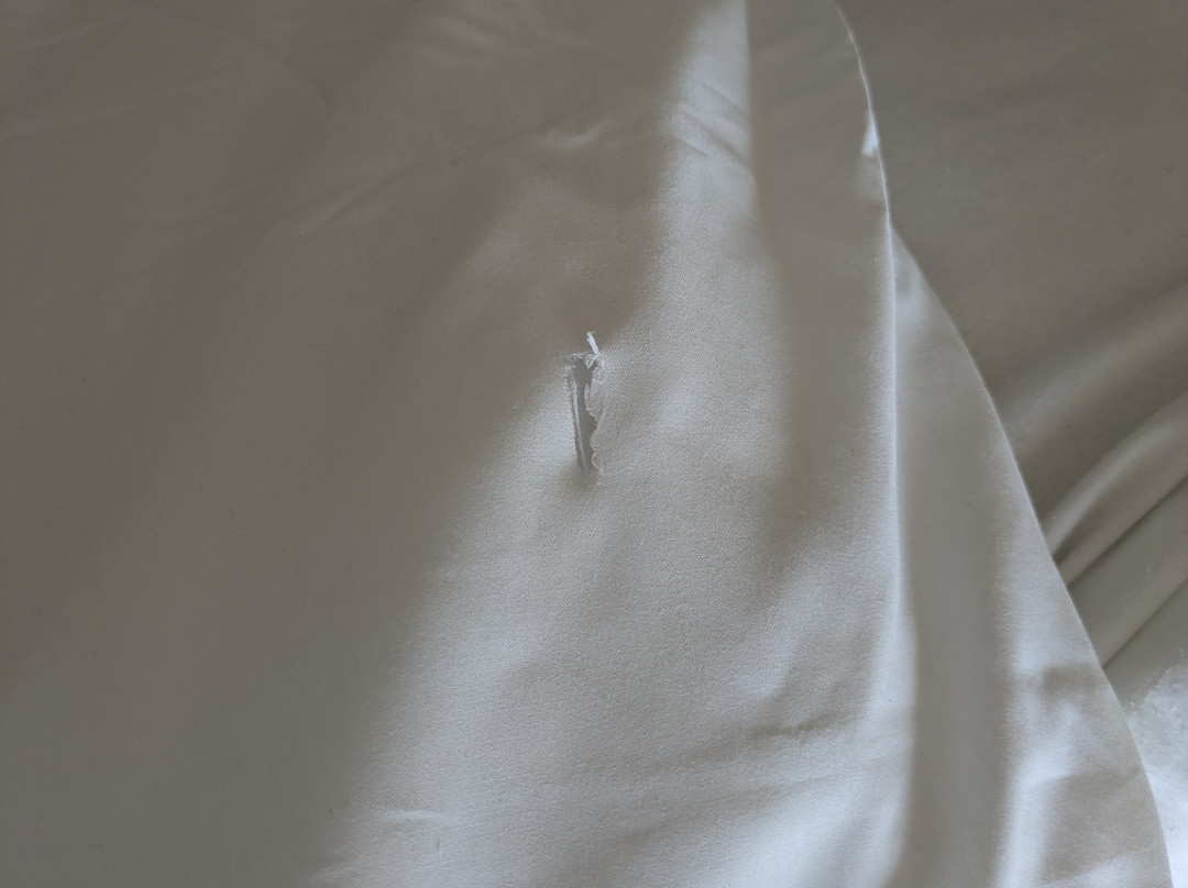 TUI MAGIC LIFE 富埃特文图拉主图