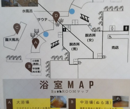 Sun Lupinus-新富町必去景点