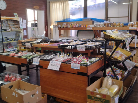 Sun Lupinus-新富町必去景点