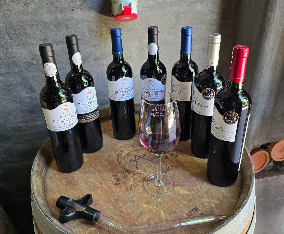 Bodega De Angeles Viña 1924-路冉得库约必去景点