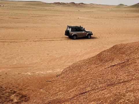 The Petrified Forest