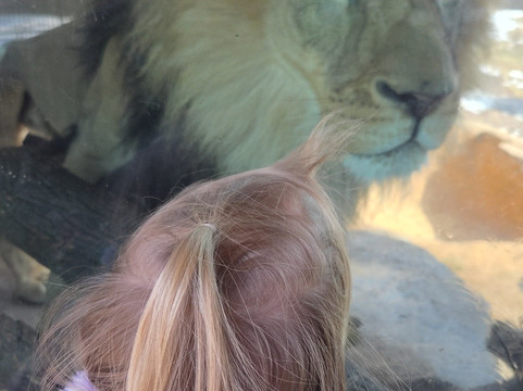 Brookfield Zoo-Brookfield必去景点