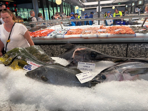 Your Sydney Guide-悉尼必去景点